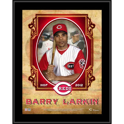 Men's Cincinnati Reds Barry Larkin Nike White Home Cooperstown Collection  Player Jersey