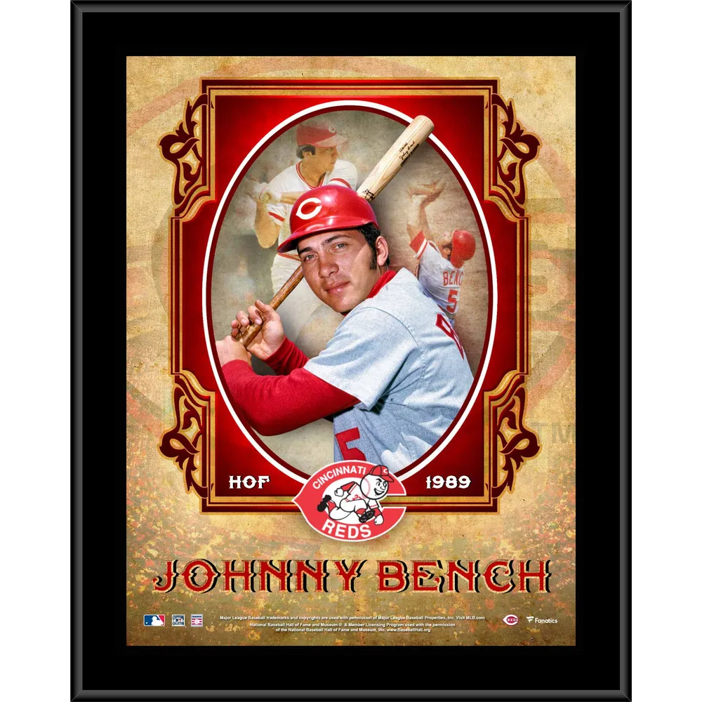 Johnny Bench Cincinnati Reds Fanatics Authentic Framed 15 x 17 Baseball  Hall of Fame Collage with Facsimile Signature