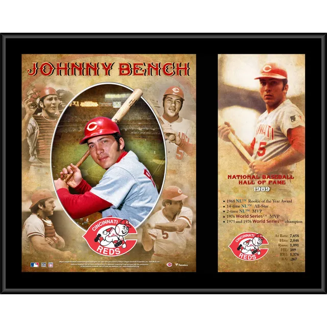 Lids Johnny Bench Cincinnati Reds Fanatics Authentic Framed 15 x 17 Hall  of Fame Career Profile