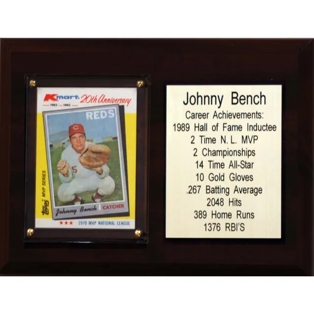 Johnny Bench Cincinnati Reds Fanatics Authentic Framed 15 x 17 Baseball  Hall of Fame Collage with Facsimile Signature