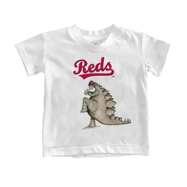 Lids Boston Red Sox Tiny Turnip Infant Baseball Babes T-Shirt - White