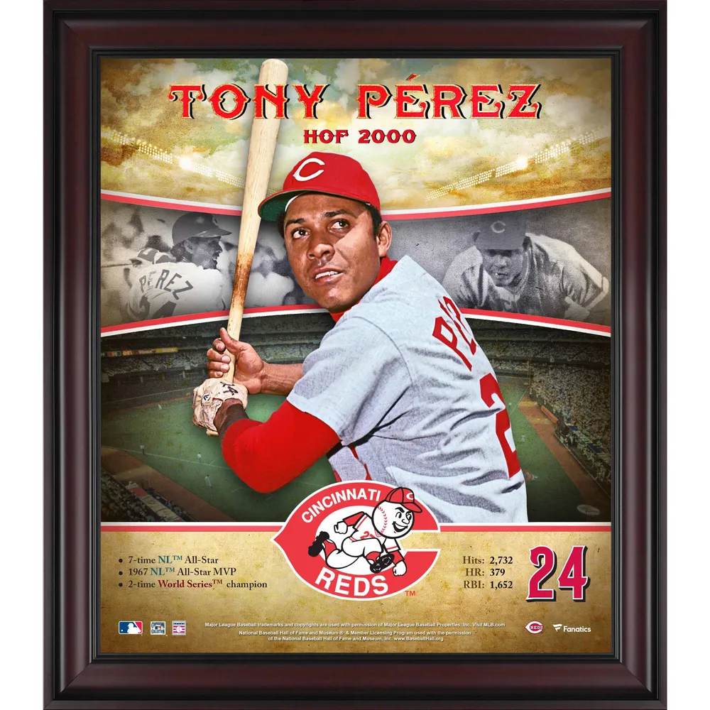 Tony Perez Cincinnati Reds Fanatics Authentic Framed 15 x 17 Baseball  Hall of Fame Collage with Facsimile Signature