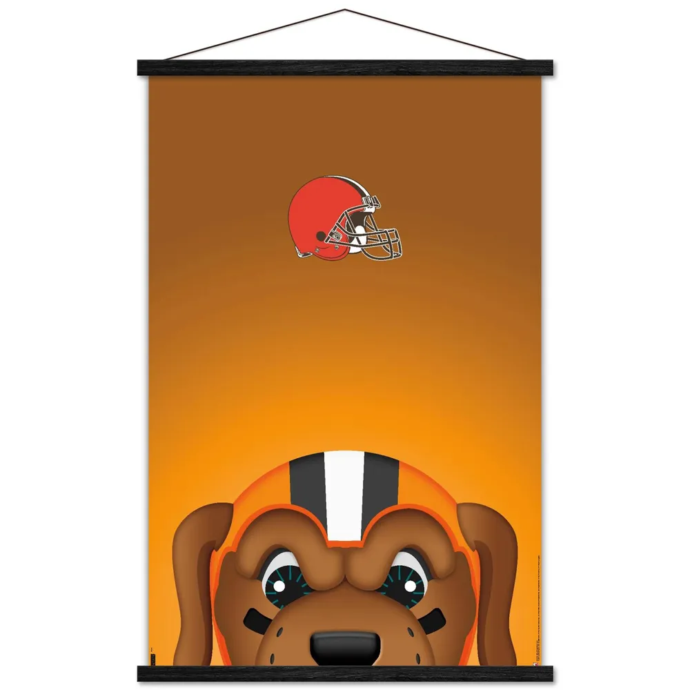 Cleveland Browns 22.4'' x 34'' Magnetic Framed Helmet Poster