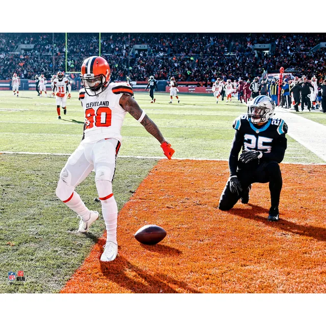 Photo Gallery: Carolina Panthers vs Cleveland Browns