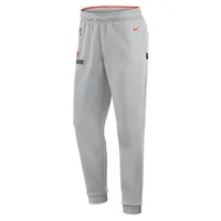 Men's Nike Gray Cleveland Browns Sideline Logo Performance Pants