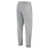 Men's Nike Gray Cleveland Browns Sideline Logo Performance Pants