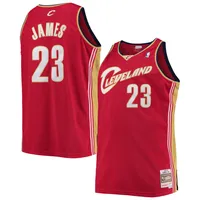 Nba Cavaliers Mesh Tank Jersey Lebron James 23 As-is