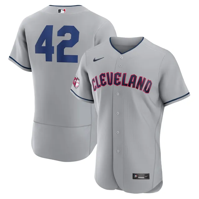 Lids Chicago Cubs Nike 2023 Jackie Robinson Day Authentic Jersey - Gray