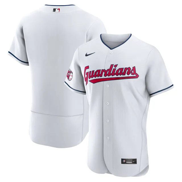 Nike Gray Chicago Cubs 2023 Jackie Robinson Day Authentic Jersey