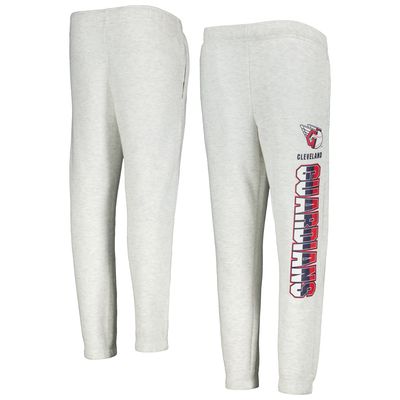 Youth Ash Cleveland Guardians Game Time Fleece Pants