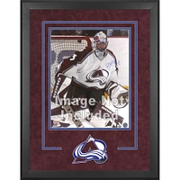 Cadre photo vertical Deluxe Colorado Avalanche 16" x 20"