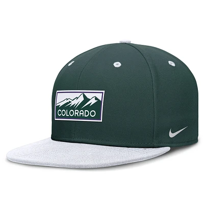 Casquette Nike City Connect Performance verte/blanche Colorado Rockies pour homme