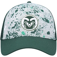 Casquette snapback colosseum gris/vert Colorado State Rams Love Fern pour homme