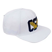 Men's Pro Standard White Coppin State Eagles Wool Snapback Hat