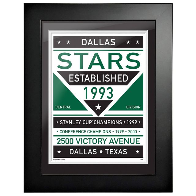 Dallas Stars - Illustration encadrée double ton de 12 `` x 16 ''