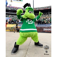 Coffret pour jeunes collectionneurs des Dallas Stars - Comprend une plaque Team Stadium 10,5" x 13", une rondelle de jeu officielle et une photographie de mascotte non signée 8" x 10"