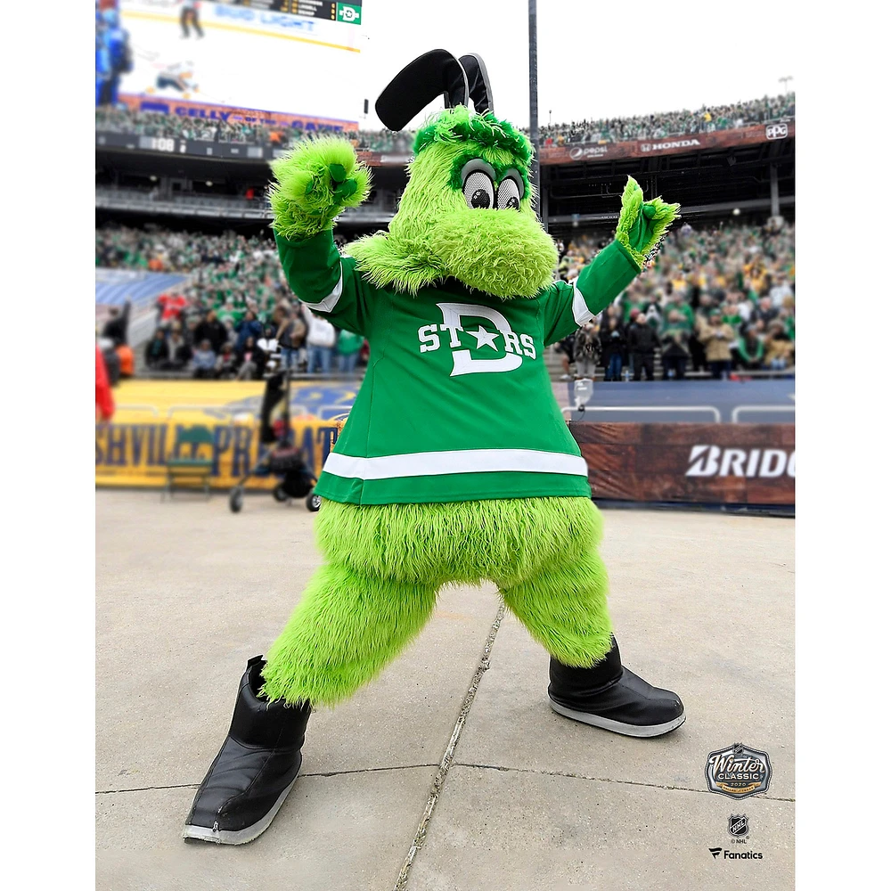 Victor E. Green Dallas Stars Unsigned 2020 Winter Classic Photograph