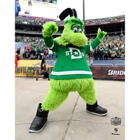 Victor E. Green Dallas Stars Unsigned 2020 Winter Classic Photograph