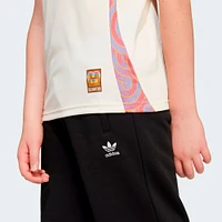 Youth adidas  Natural D.C. United 2025 The Soul Kit Replica Jersey