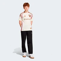 Youth adidas  Natural D.C. United 2025 The Soul Kit Replica Jersey