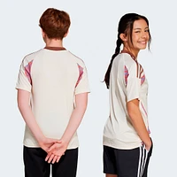 Youth adidas  Natural D.C. United 2025 The Soul Kit Replica Jersey