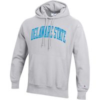 Men's Champion Gray Delaware State Hornets Tall Arch Pullover Hoodie