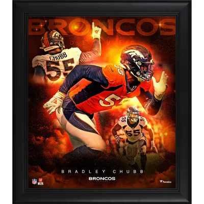 Lids Teddy Bridgewater Denver Broncos Fanatics Authentic Framed 15'' x 17''  Player Panel Collage