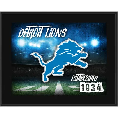 Authentic NFL Apparel Men's Detroit Lions Established Hoodie - Macy's