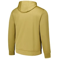 Men's Gold Detroit Lions Top Ranked Pullover Hoodie