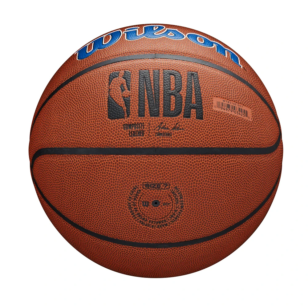 Detroit Pistons Wilson NBA Team Alliance Basket-ball