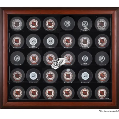 Detroit Red Wings Black Framed Jersey Display Case