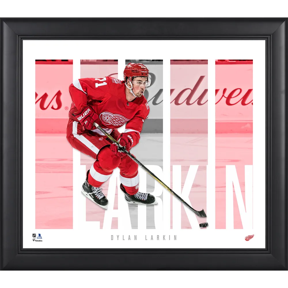 Detroit Red Wings Fanatics Authentic Black Framed Jersey Display