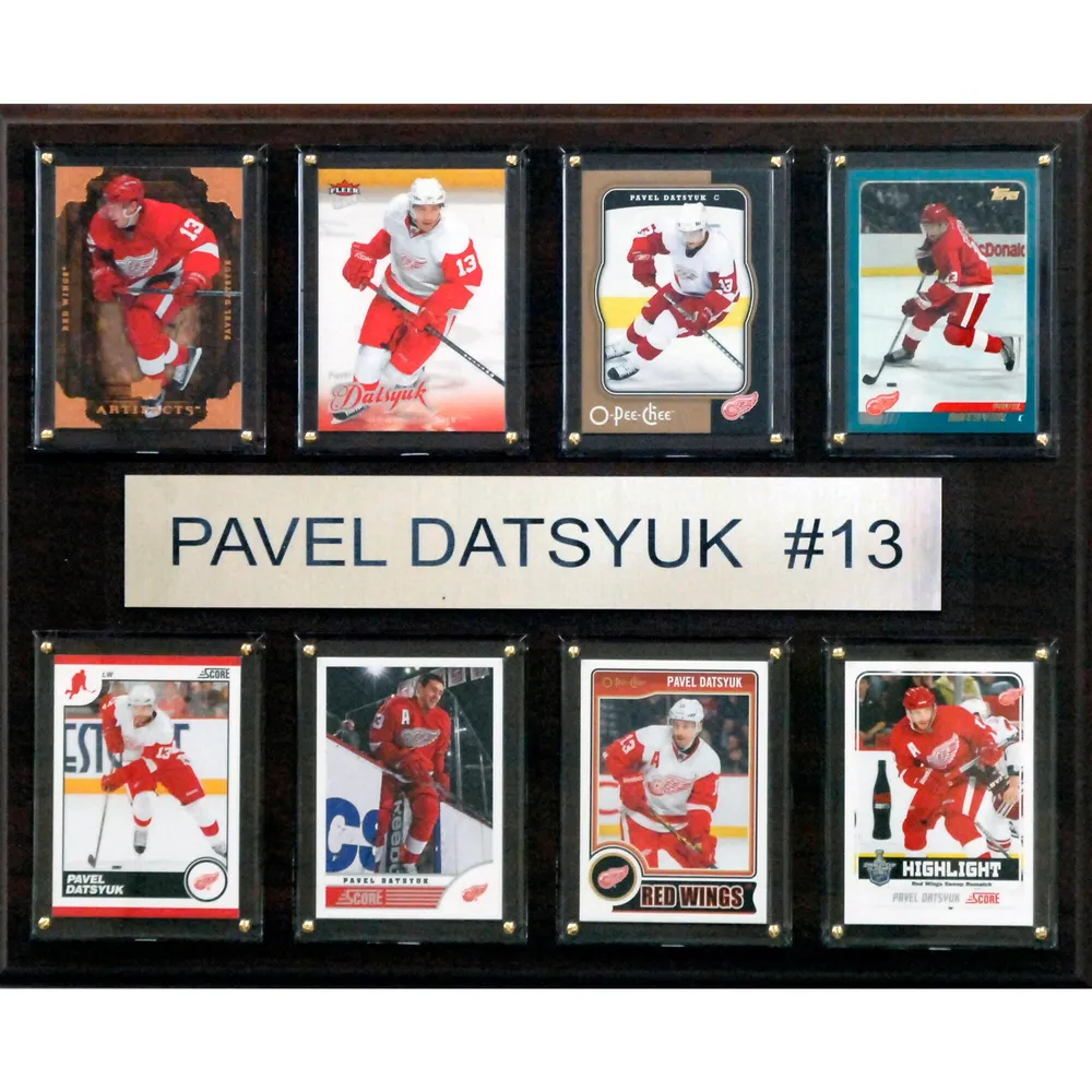 Detroit Red Wings Fanatics Authentic Black Framed Jersey Display Case