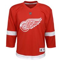 Youth Red Detroit Wings Home Replica Blank Jersey