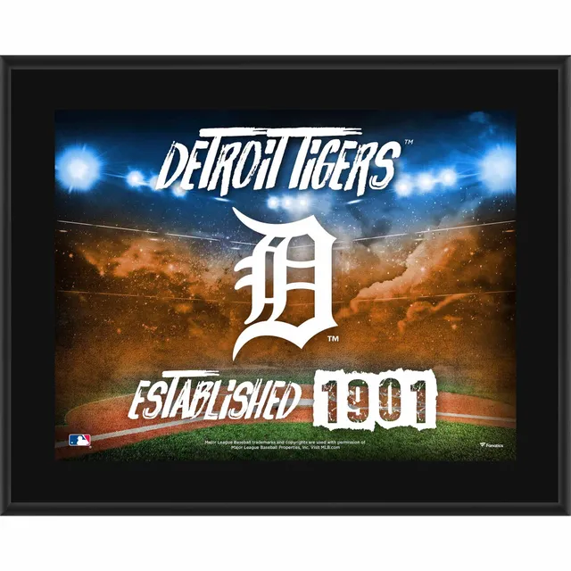 Unsigned Detroit Tigers Fanatics Authentic Old Tiger Stadium Overview  Photograph