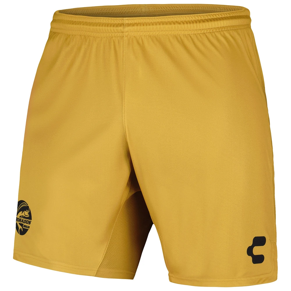 Men's Charly  Gold Dorados de Sinaloa 2023/24 Training Shorts