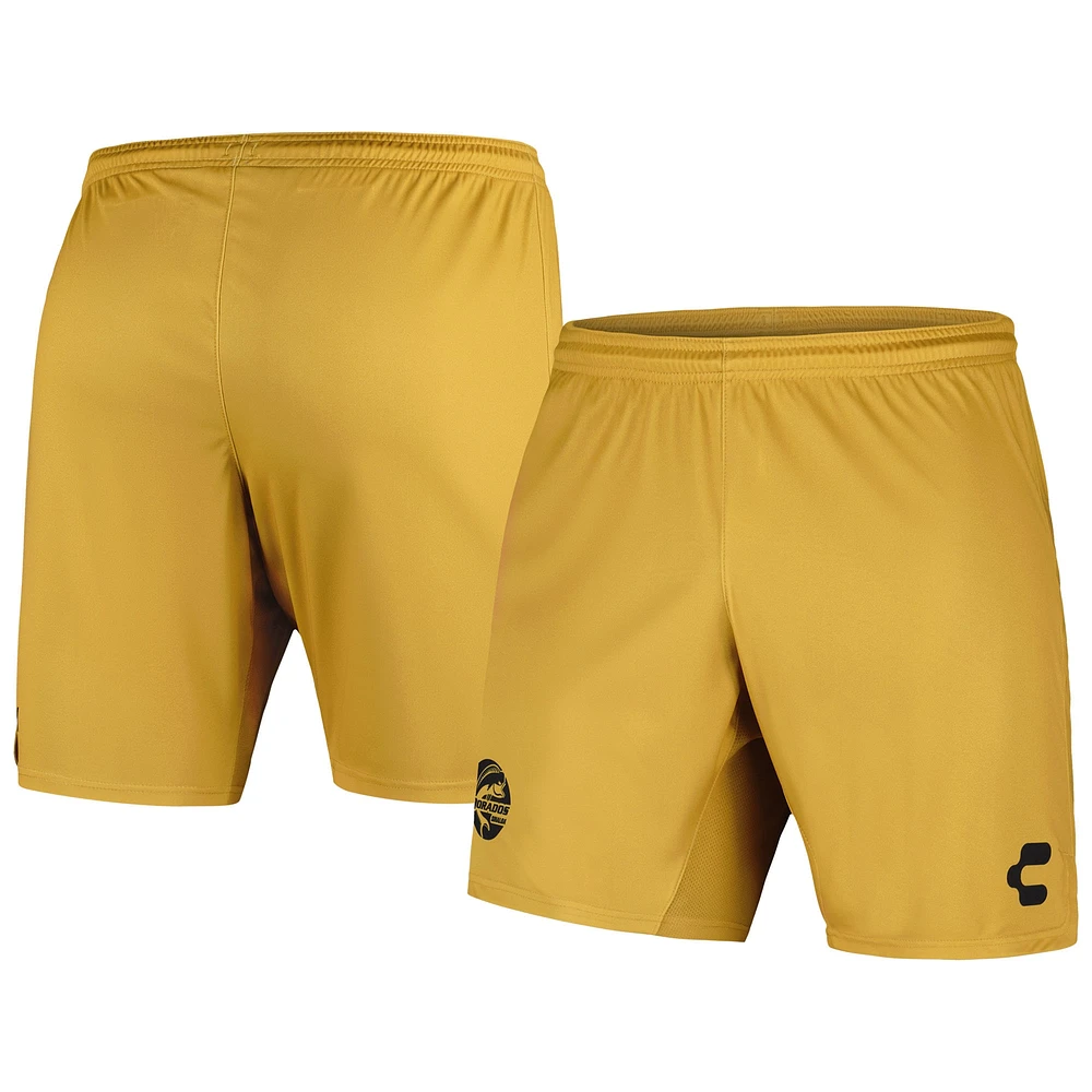 Men's Charly  Gold Dorados de Sinaloa 2023/24 Training Shorts