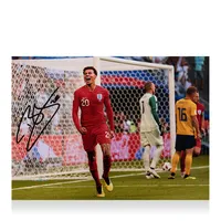 Dele Alli Tottenham Hotspur Autographed 2018-2019 Home Jersey