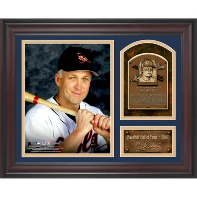 Fanatics Authentic Jim Bunning Philadelphia Phillies Framed 15 x 17 Baseball Hall of Fame Collage with Facsimile Signature