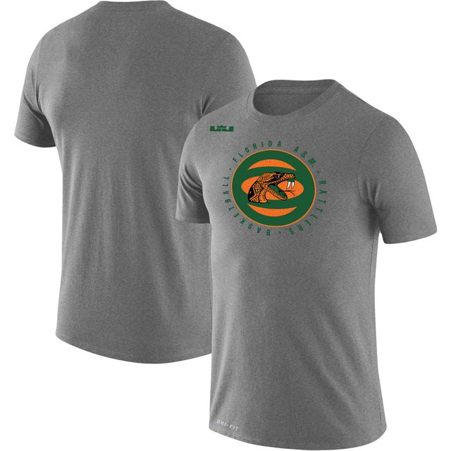 T-shirt Nike x LeBron James gris Florida A&M Rattlers Collection Legend Performance pour homme