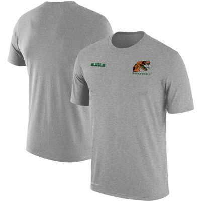 Men's Nike x LeBron James Gray Florida A&M Rattlers Collection Performance T-Shirt