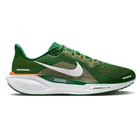 Chaussures de course Nike Zoom Pegasus 41 vertes unisexes Florida A&M Rattlers