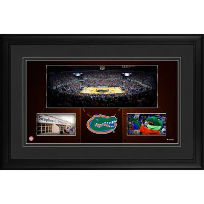 Florida Gators Fanatics Authentic Framed 10'' x 18'' O'Connell Center Panoramic Collage