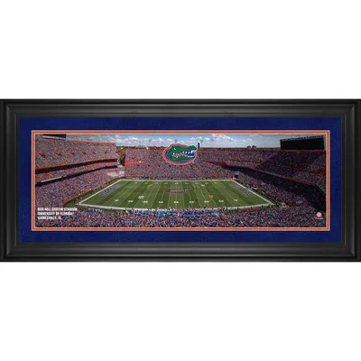 Florida Gators Fanatics Authentic Framed 10" x 30" Ben Hill Griffin Stadium Panoramic Photograph