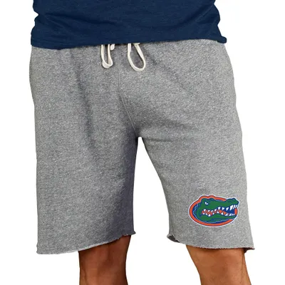 Florida Gators Concepts Sport Mainstream Terry Shorts