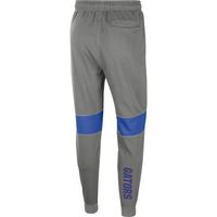 Men's Jordan Brand Gray Florida Gators Fleece Pants