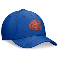 Men's Jordan Brand Royal Florida Gators 2024 Sideline Flex Hat