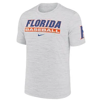 Men's Nike Ash Florida Gators Velocity Baseball Wordmark Stack Performance T-Shirt