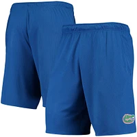 Men's Nike Royal Florida Gators Hype Performance Shorts