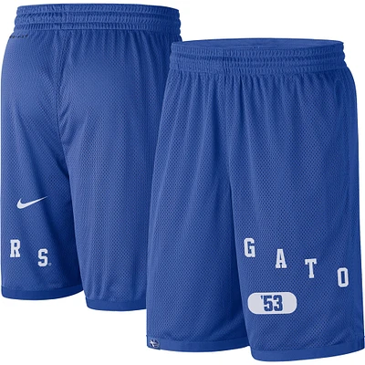 Short Nike Royal Florida Gators pour homme avec logo Performance